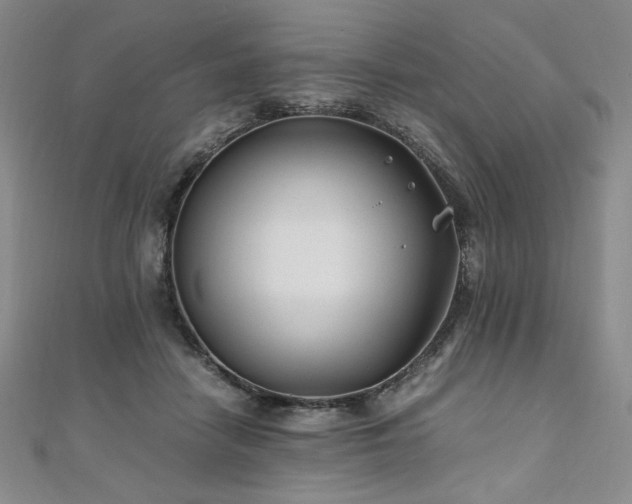 X0000111010458200906191615