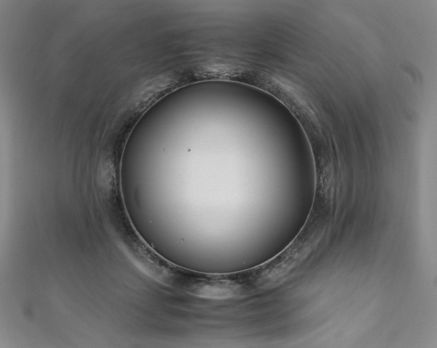 X0000111010459200906191615