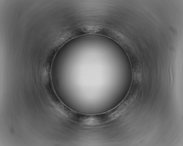X0000111010460200906191615