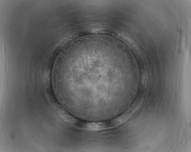 X0000111010461200906191615