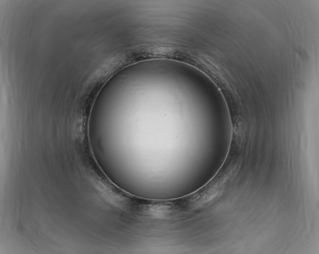 X0000111010462200906191615