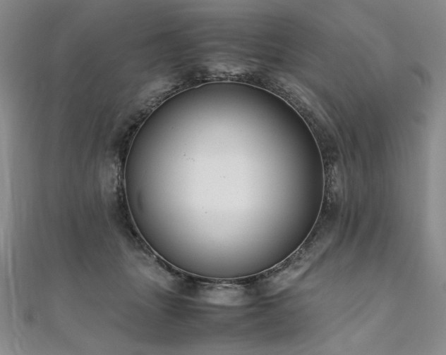 X0000111010463200906191615