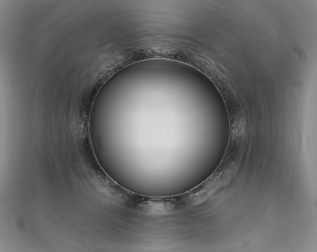 X0000111010464200906191615