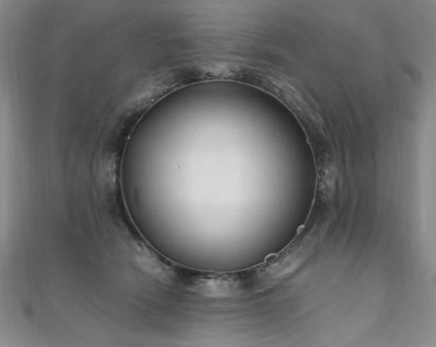 X0000111010466200906191615