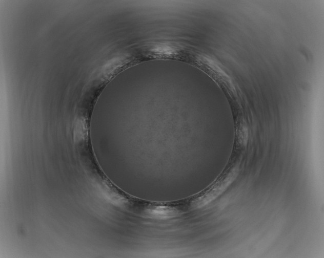 X0000111010467200906191615