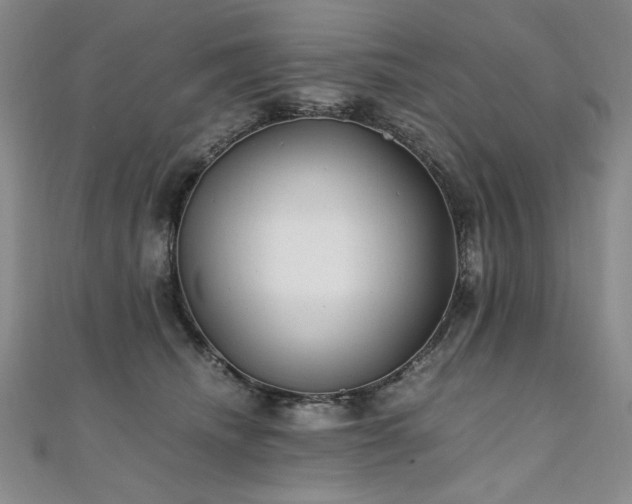 X0000111010468200906191615