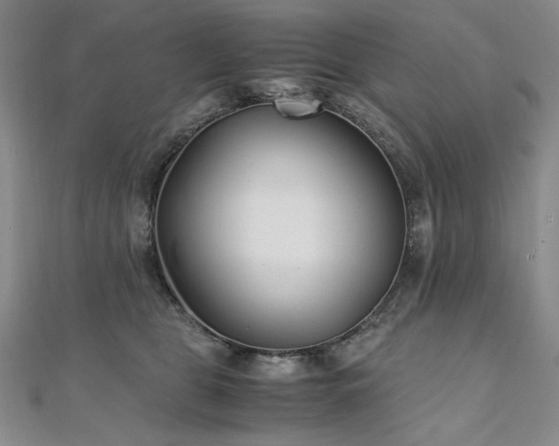 X0000111010469200906191615
