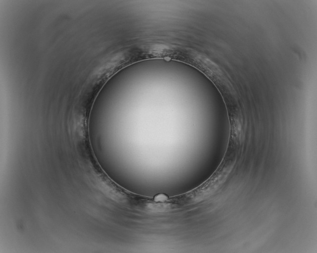 X0000111010470200906191615