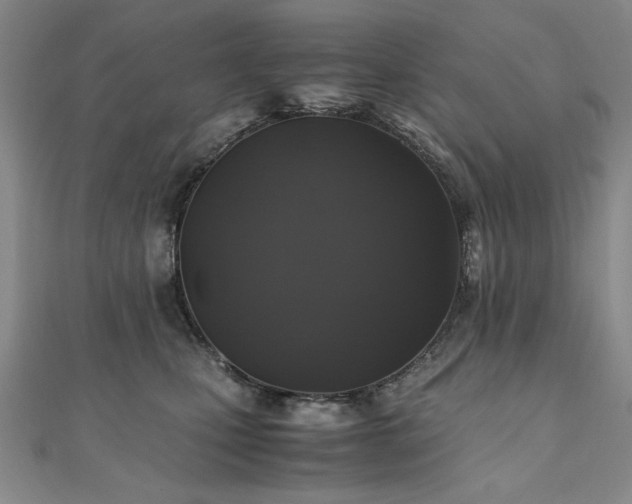 X0000111010471200906191615