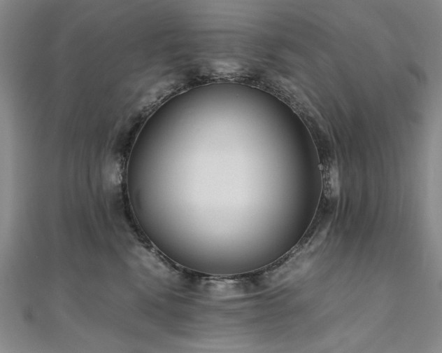 X0000111010472200906191615
