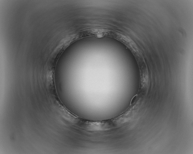 X0000111010473200906191615