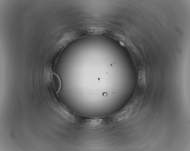 X0000111010474200906191615