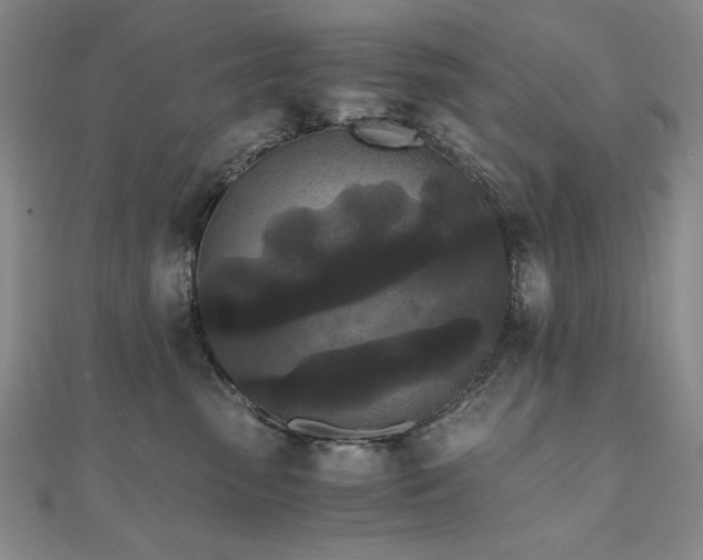 X0000111010475200906191615