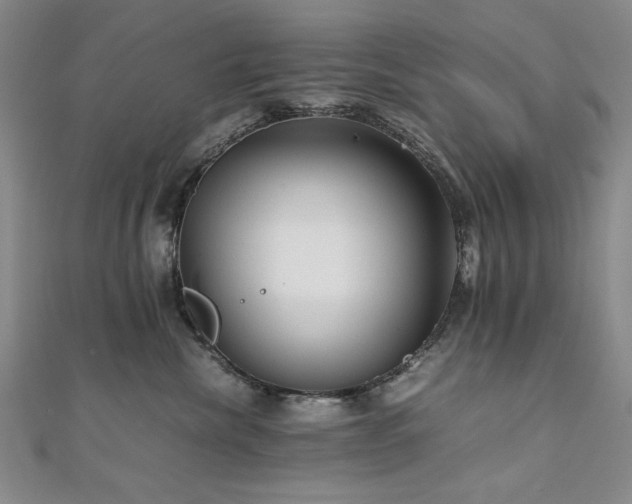 X0000111010476200906191615