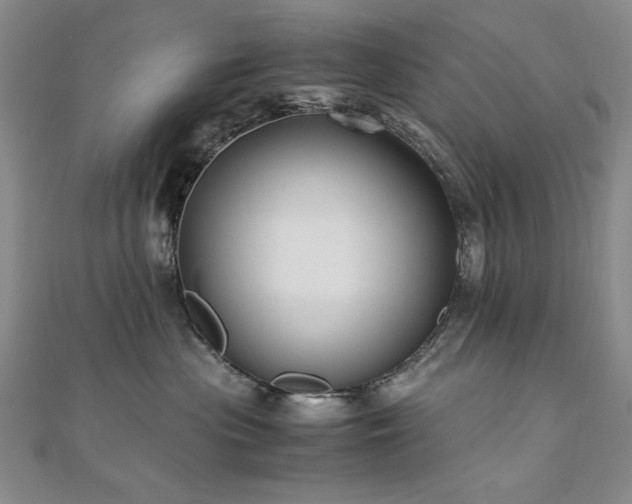 X0000111010477200906191615