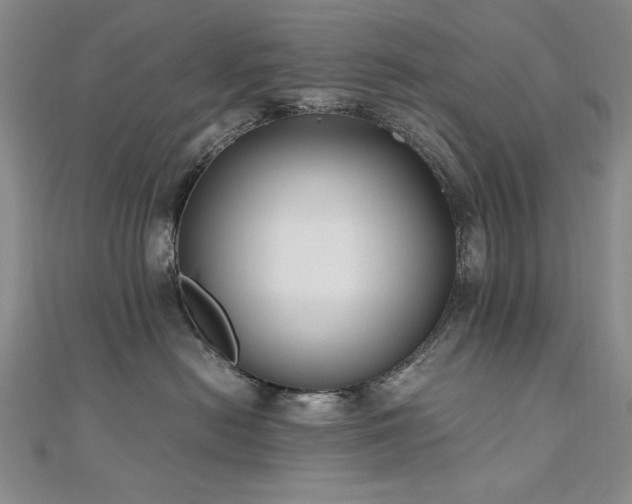 X0000111010478200906191615