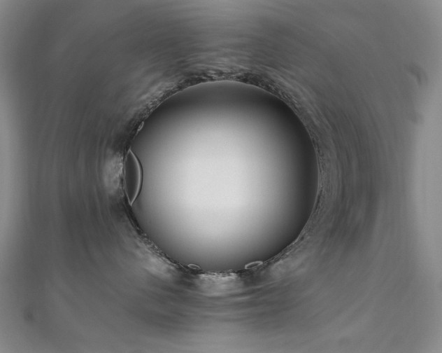 X0000111010480200906191615