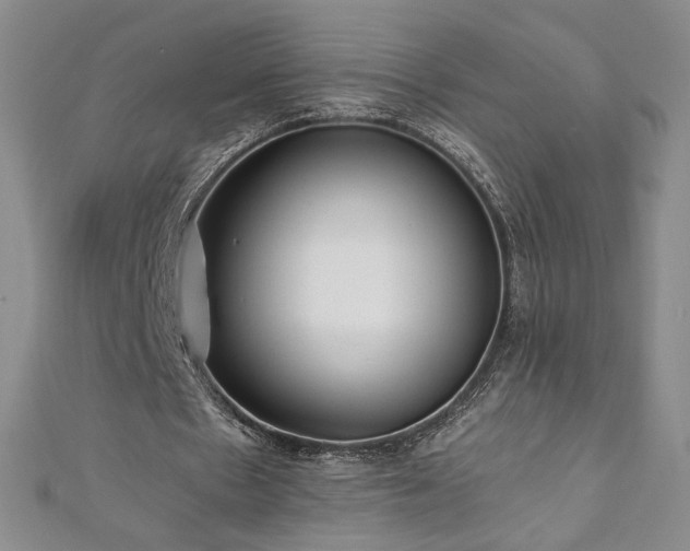 X0000111010481200906191615