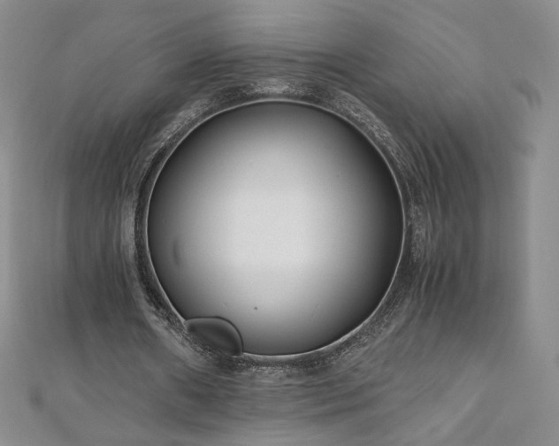X0000111010482200906191615