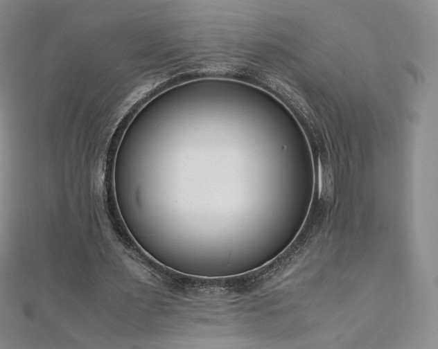X0000111010483200906191615