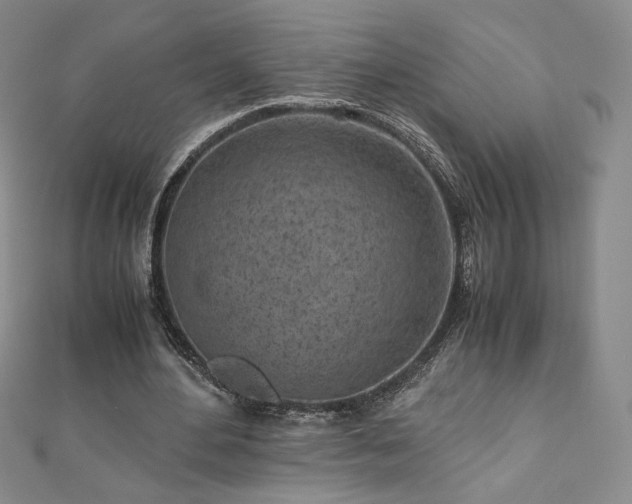 X0000111010484200906191615