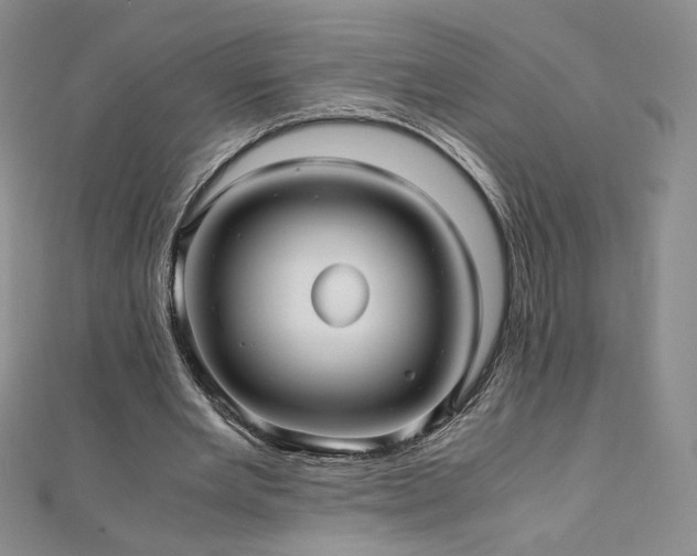 X0000111010485200906191615