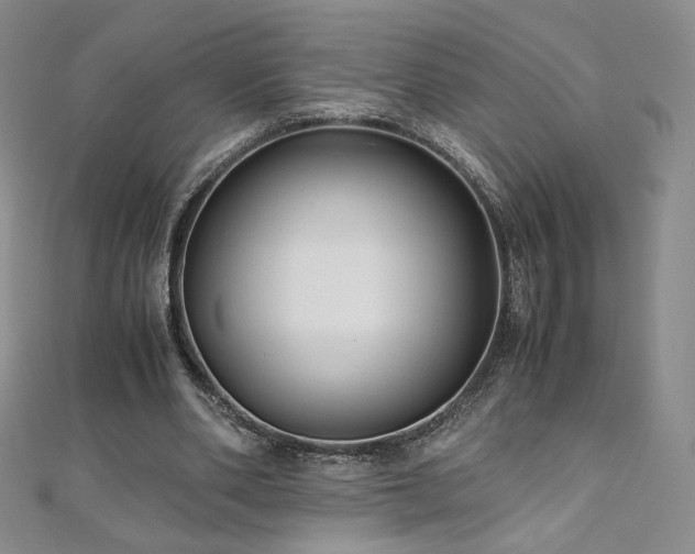 X0000111010486200906191615