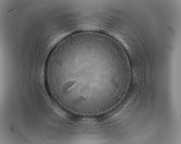 X0000111010487200906191615