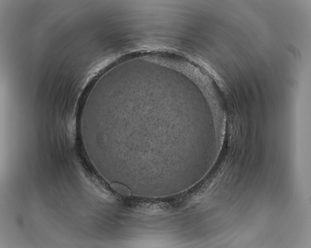 X0000111010488200906191615