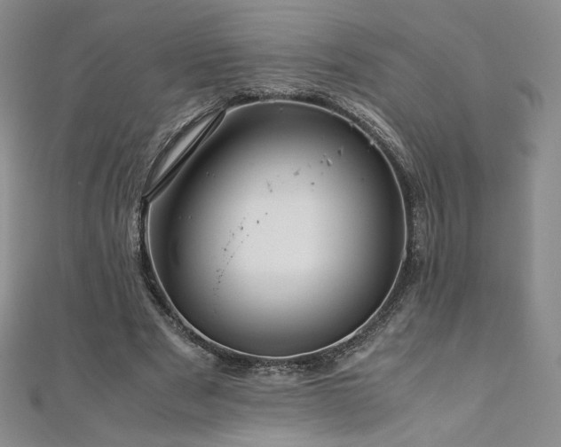 X0000111010489200906191615