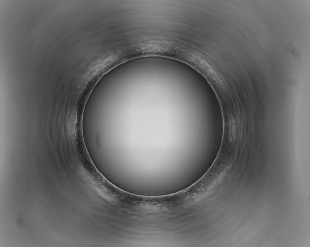 X0000111010490200906191615