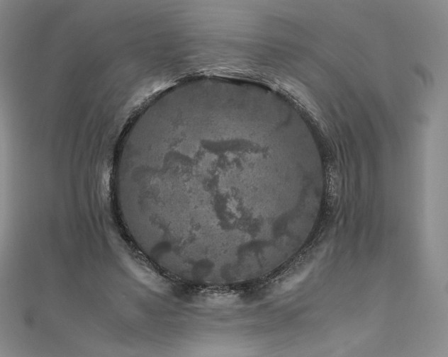 X0000111010491200906191615