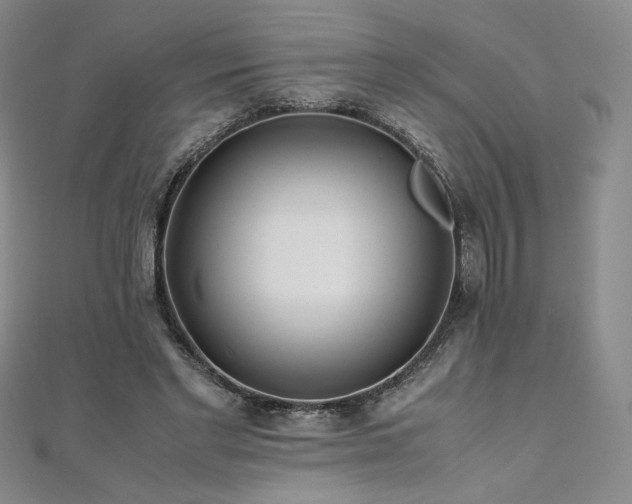 X0000111010493200906191614