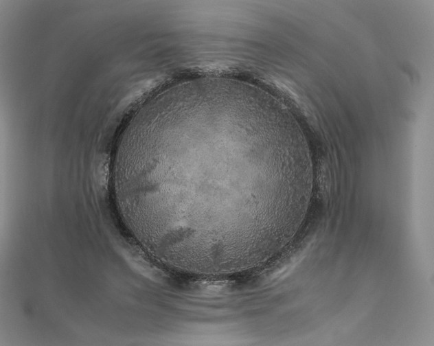 X0000111010495200906191614