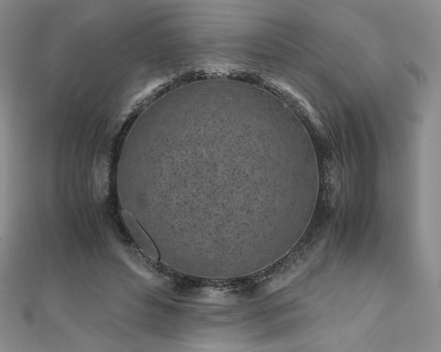 X0000111010496200906191614