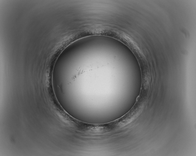 X0000111010497200906191614
