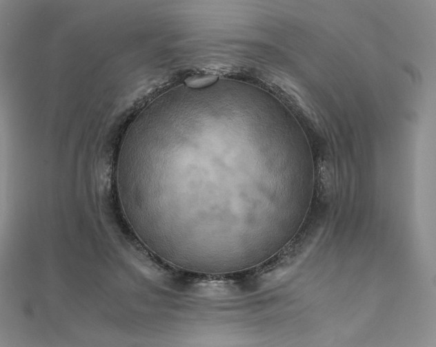X0000111010499200906191614