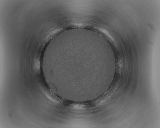 X0000111010500200906191614