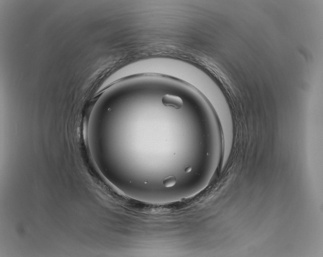 X0000111010501200906191614