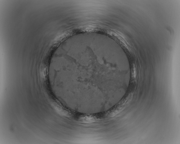 X0000111010503200906191614