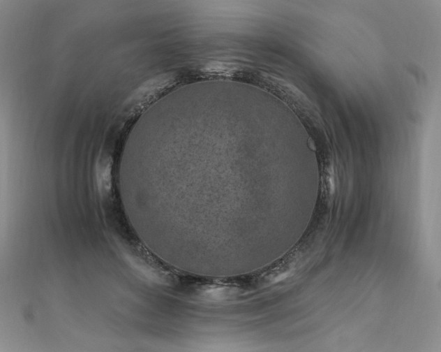 X0000111010504200906191614