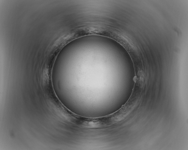 X0000111010506200906191614