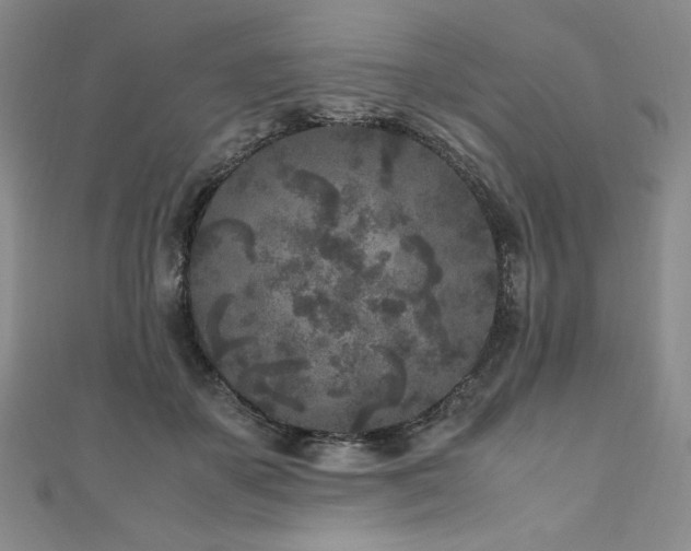 X0000111010507200906191614