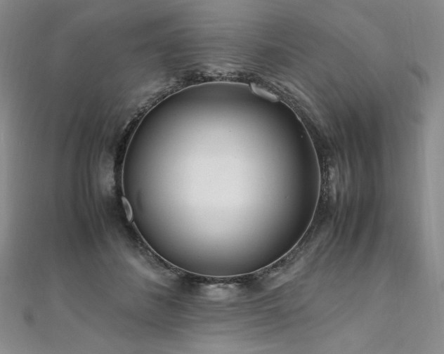 X0000111010508200906191614