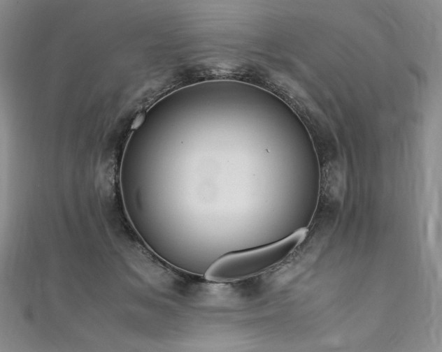 X0000111010509200906191614