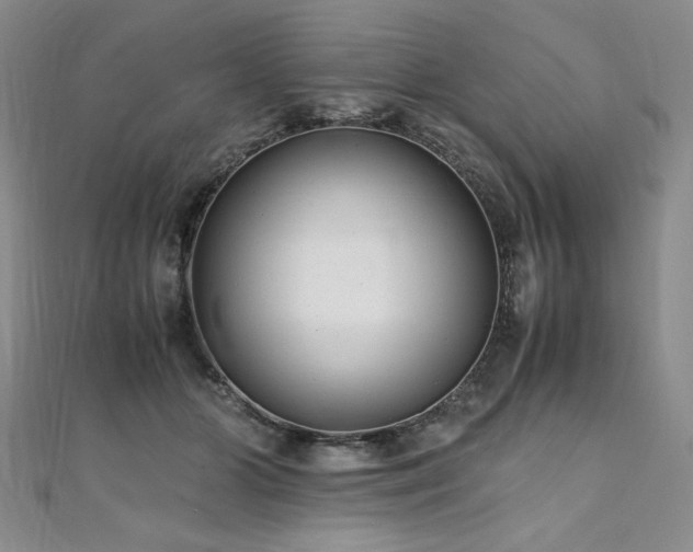 X0000111010510200906191614
