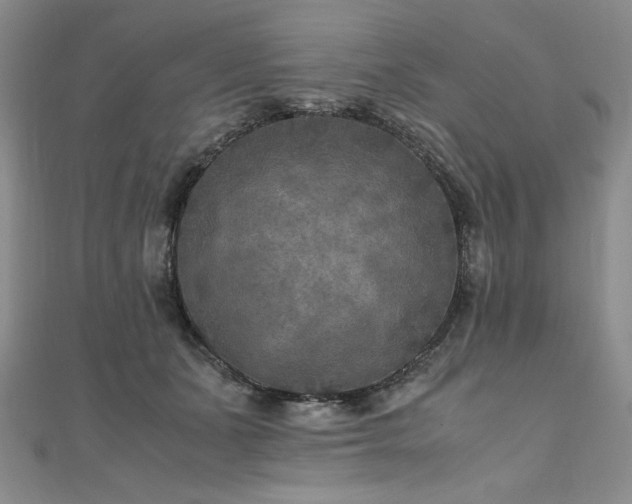 X0000111010511200906191614