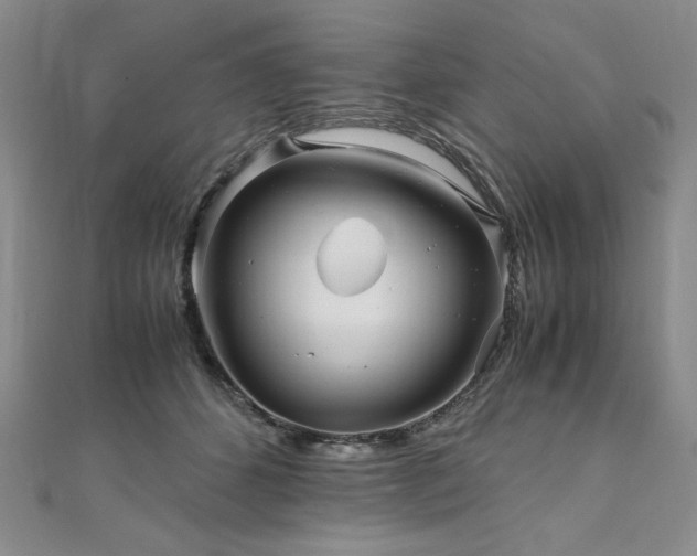 X0000111010512200906191614