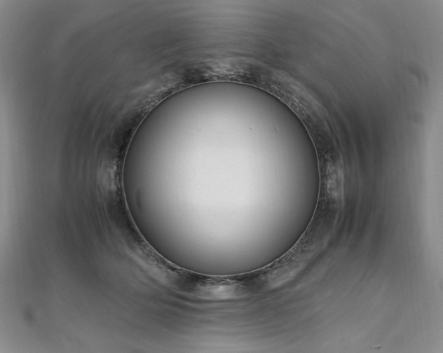 X0000111010514200906191614