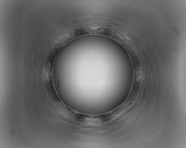 X0000111010515200906191614